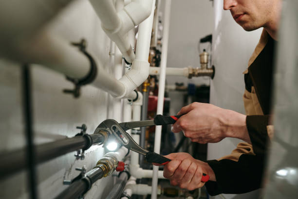 Best Sprinkler Systems  in Centreville, MI