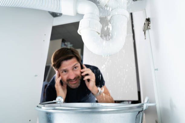 Best Septic Systems  in Centreville, MI