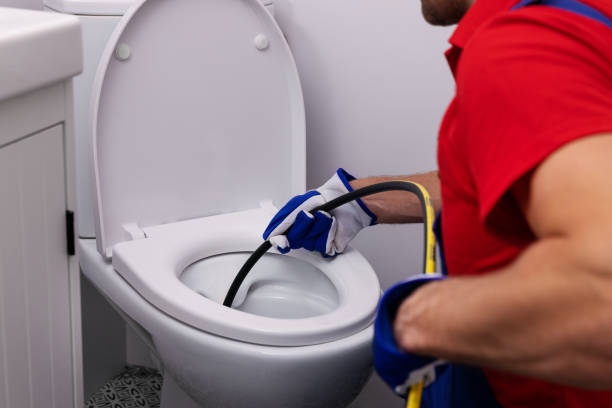 Best Plumbing Inspection Services  in Centreville, MI