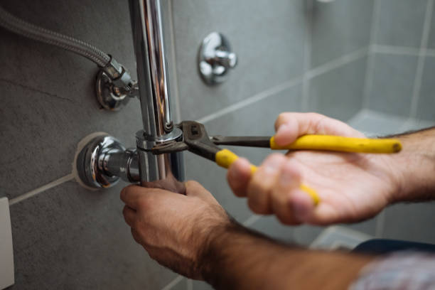 Best Faucet Repair  in Centreville, MI