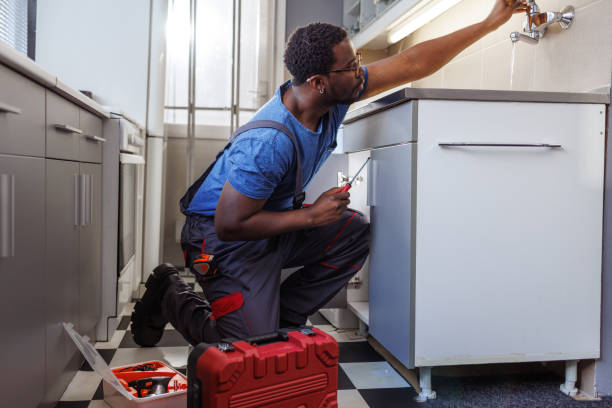Best Affordable Plumbing Services  in Centreville, MI