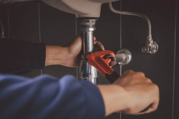 Best Sprinkler Systems  in Centreville, MI
