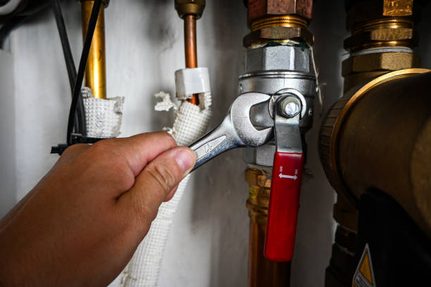 Best Local Plumber Services  in Centreville, MI